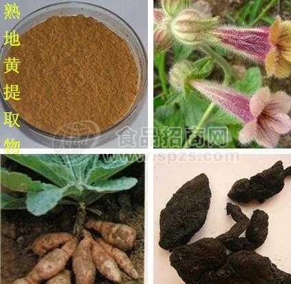 热销地黄提取物10:1多种规格1公斤起订
