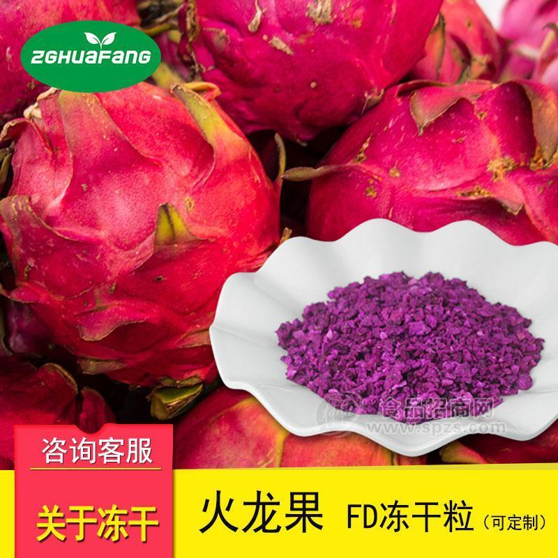 冻干火龙果粒 冻干水果丁脱水果蔬冻干食品批发