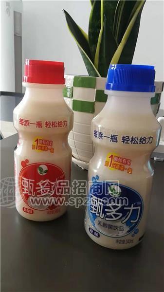 甄多力 乳酸菌風(fēng)味飲料