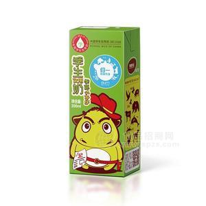 學生飲用奶 牛奶 學贏小牛仔200ml