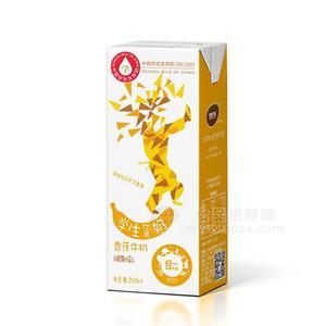 學(xué)生飲用奶 香蕉牛奶調(diào)制乳200ml