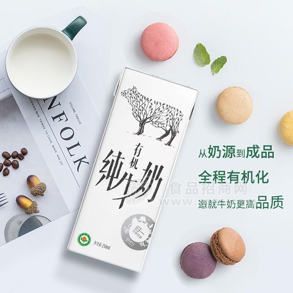 ·归一有机纯牛奶  250ml 