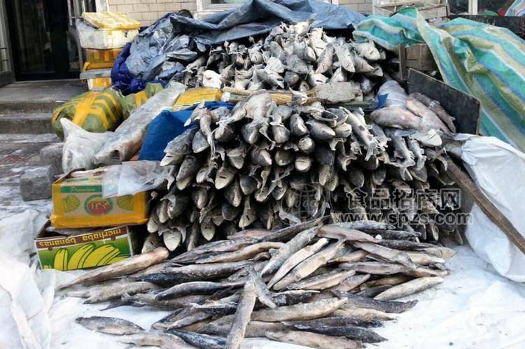 烏蘇里江鱘鰉魚批發(fā)，烏蘇里江鱘鰉魚價格，烏蘇里江鱘鰉魚哪里賣