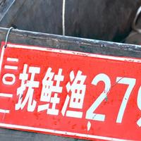 黑龙江大马哈鱼批发价格，黑龙江大马哈鱼多少钱一斤