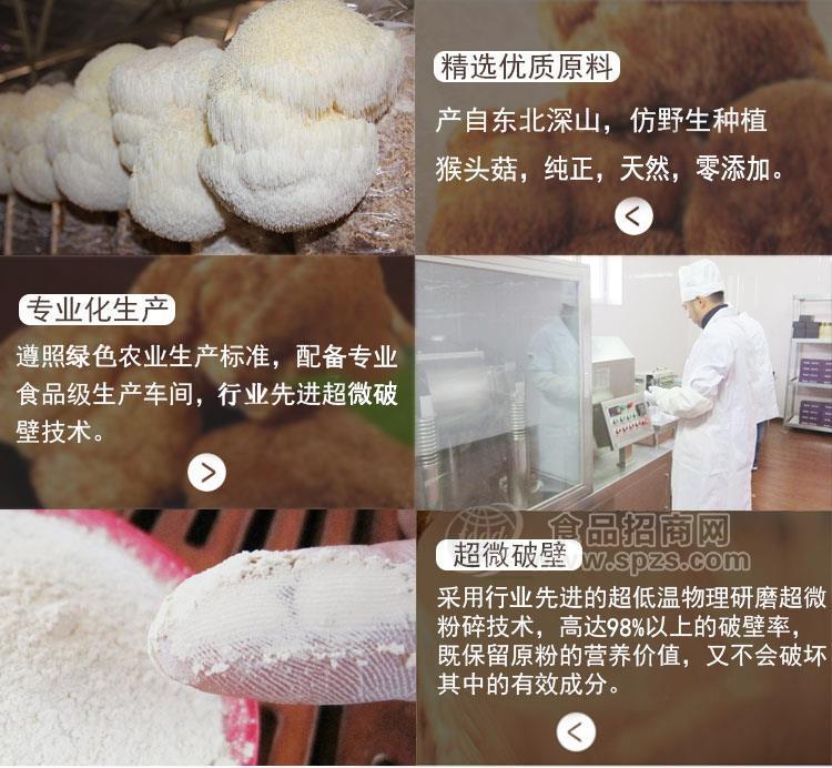厂家批发超微破壁猴头菇粉