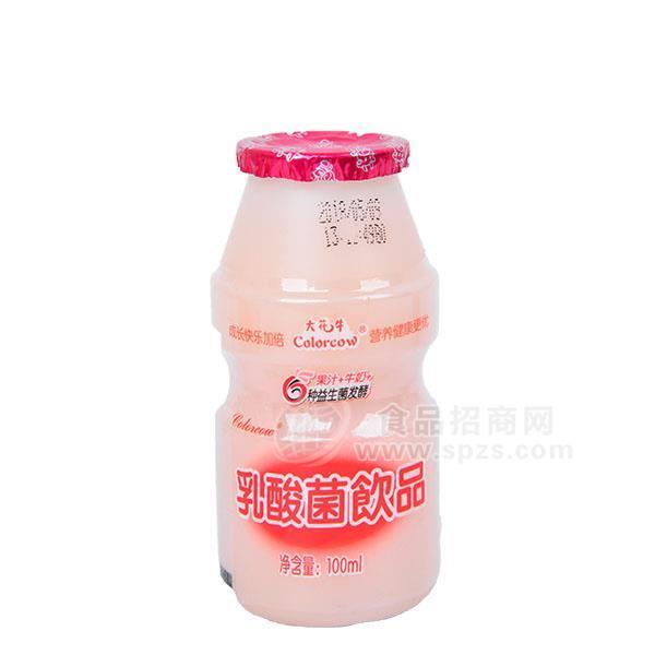 大花牛乳酸菌飲品100ml