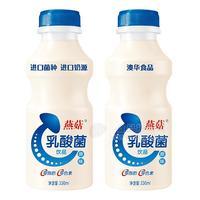 燕菇原味乳酸菌饮品330ml