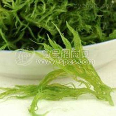 海藻多肽 海藻小分子肽10:1 20:1 1公斤起订 多种规格