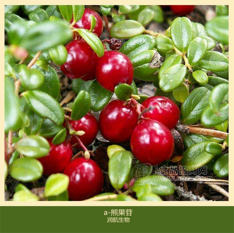 现货供应 化妆品原料 a-熊果苷 量大从优 1kg起订