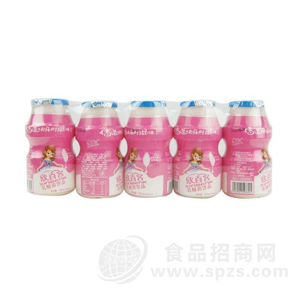 欣百客乳酸菌饮品乳饮料100ml