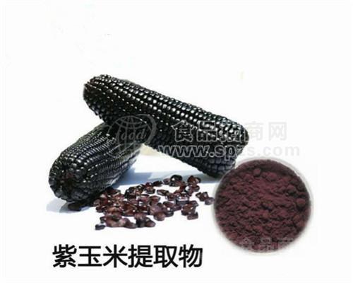 热销紫玉米提取物10:1多种规格1公斤起订