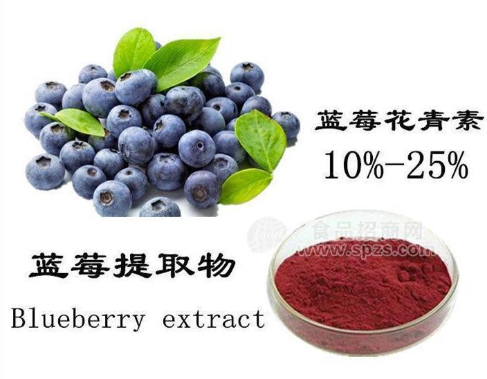 热销蓝莓提取物含量25%多种规格1公斤起订