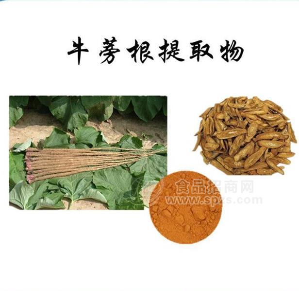 热销牛蒡根提取物多种规格1公斤起订厂家包邮