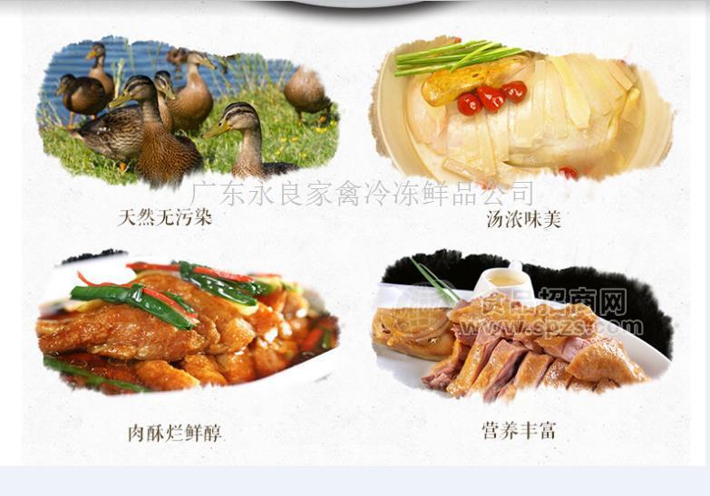广西南宁冻品鸭厂家