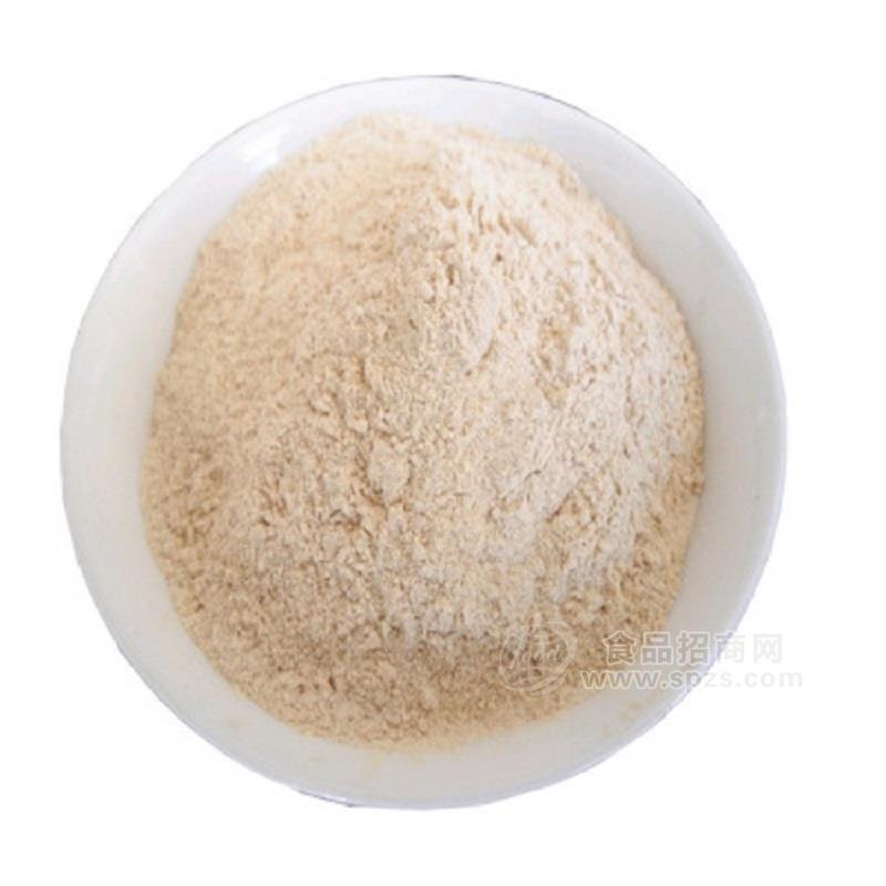 热销产品厂家直供调味品调味料贴牌生产加工定制  大蒜粉