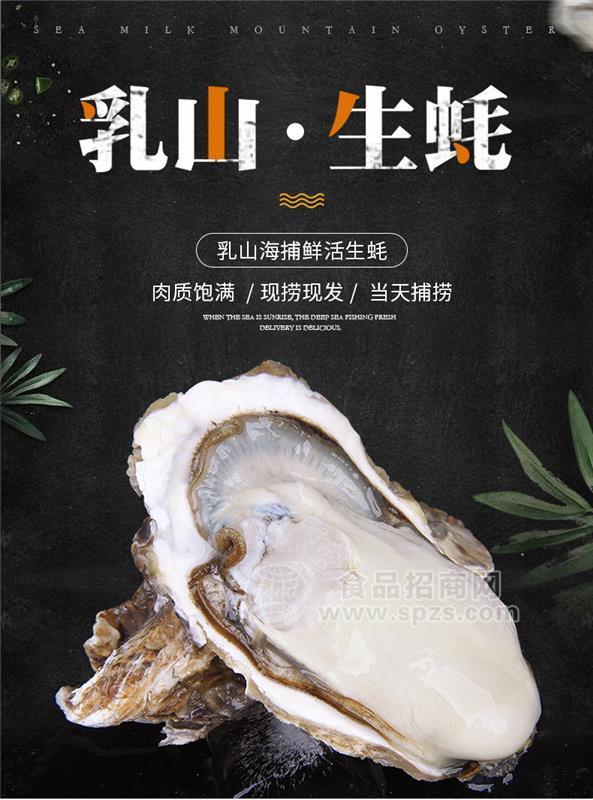 乳山生蚝