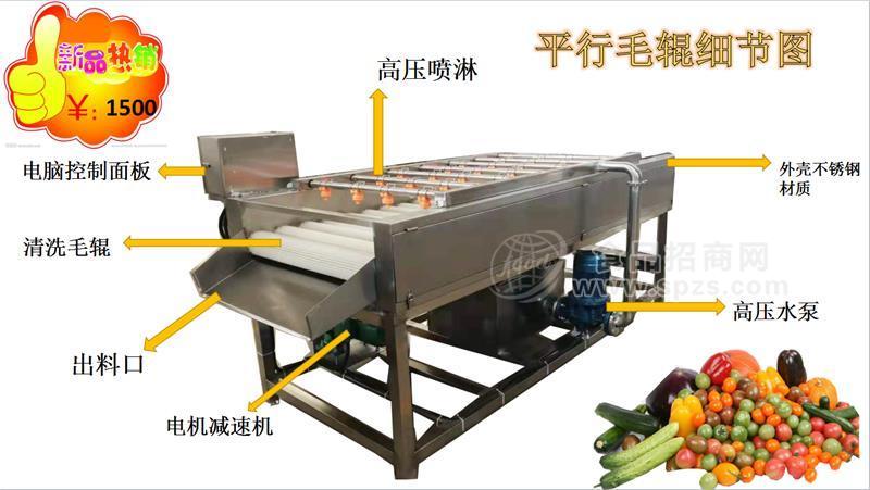 热销大枣平行毛辊清洗机    海蛎子扇贝平行毛辊清洗机  食品机械定制