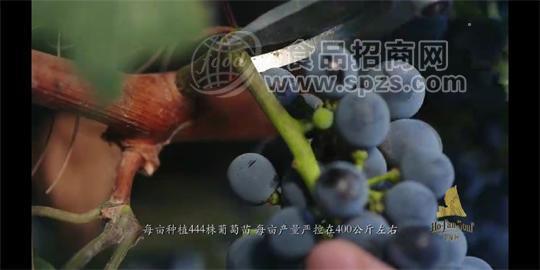 贺兰神葡萄酒
