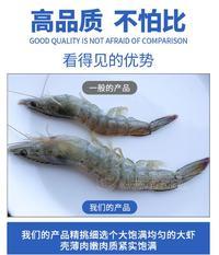 廠家直銷南美白對(duì)蝦