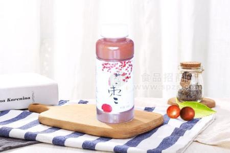 益把枣果汁类饮料
