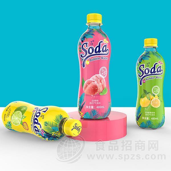 白桃味苏打气泡水饮料苏打水饮品0卡路里 480ml