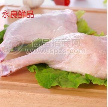 广西冰鲜鸭销售