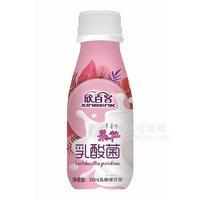 欣百客草莓味果粒乳酸菌飲品乳飲料310ml