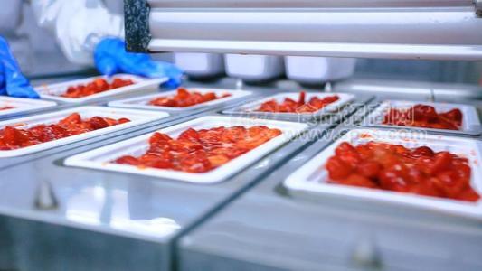 冷冻水果鲜榨果汁奶茶冷饮甜点