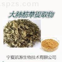大肺筋草提取物 10:1现货包邮1公斤起订