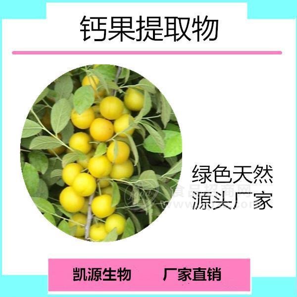 钙果粉 钙果提取物  10:1多种规格1公斤起订