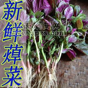 旱菜提取物 旱菜濃縮汁粉   10:1多種規(guī)格1公斤起訂廠家包郵長(zhǎng)期供應(yīng)