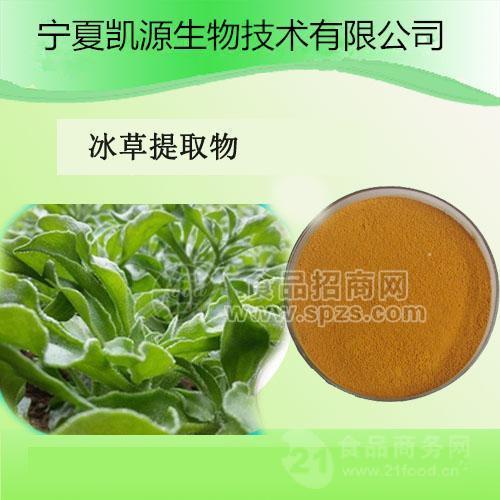 冰草提取物 非洲冰菜  10:1多种规格1公斤起订长期供应