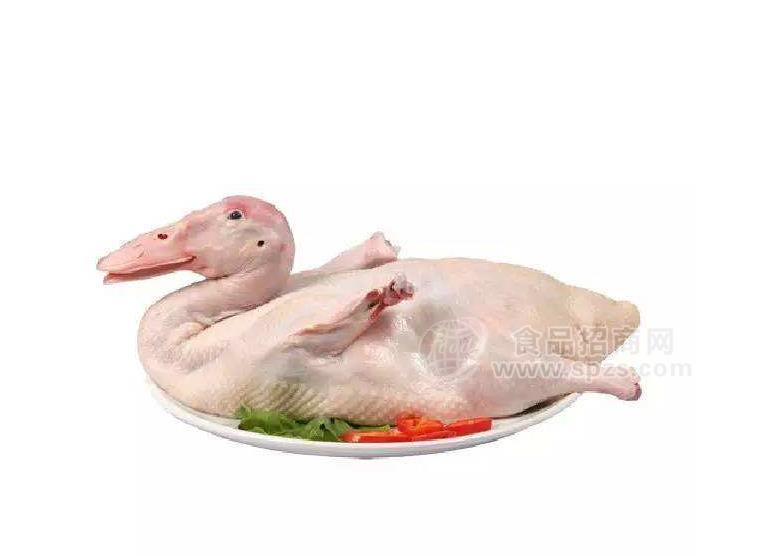 南昌冷冻鸭批发
