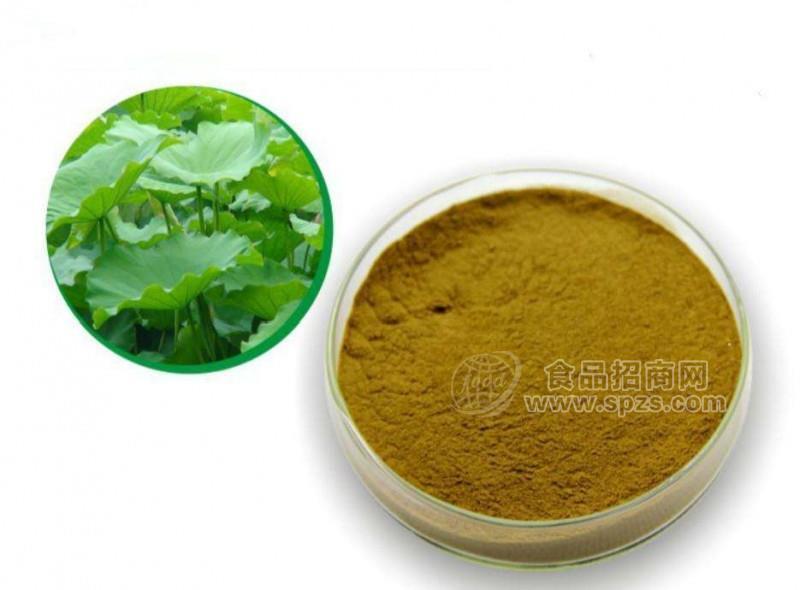 荷叶提取物 10:1 荷叶速溶粉  多种规格1公斤长期供应