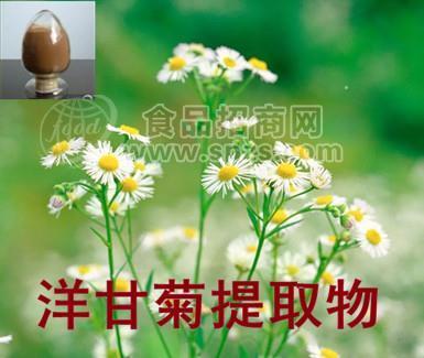 洋甘菊粉 洋甘菊浸膏粉  10:1多种规格1公斤起订厂家包邮