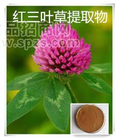 热销红三叶草提取物10:1多种规格1公斤起订厂家包邮长期供应