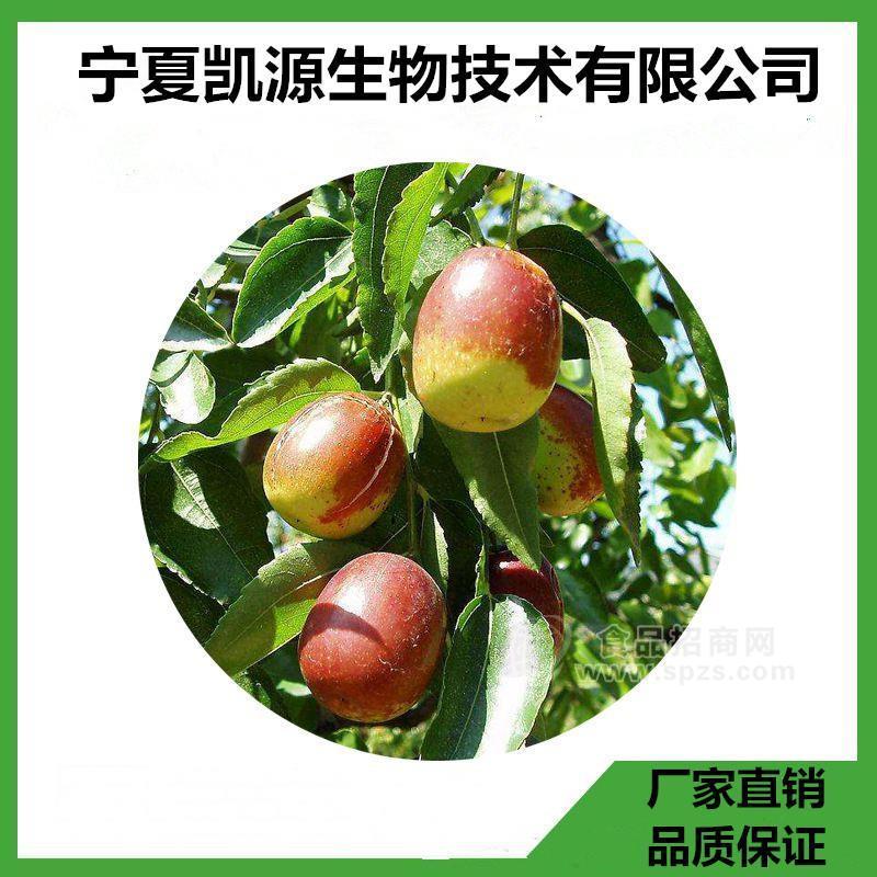 甜棗提取物10：1 甜棗粉  多種規(guī)格1公斤起訂廠家包郵長(zhǎng)期供應(yīng)