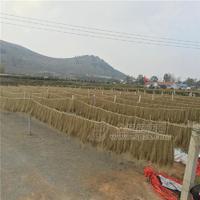 廠家直銷(xiāo)紅薯地瓜粉條 寬粉 細(xì)粉 可選袋裝
