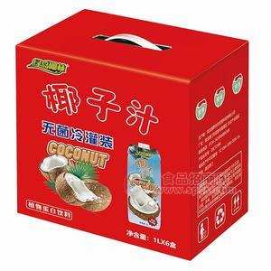 绿岛椰林 椰子汁饮料植物蛋白饮料无菌冷灌装 1Lx6盒