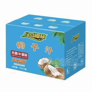 綠島椰林椰子汁飲料植物蛋白飲料無(wú)菌冷灌裝 1Lx12盒