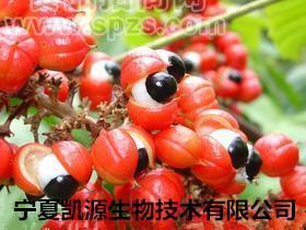 巴西瓜拉纳提取物 瓜拉纳粉?  多种规格1公斤起订厂家包邮长期供应?
