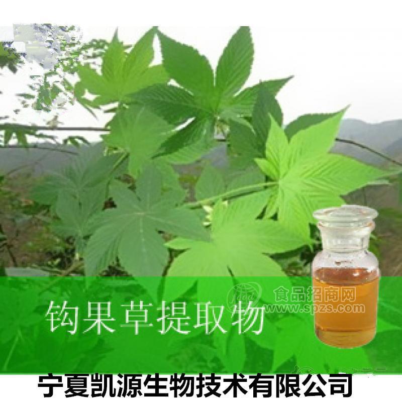 钩果草提取物  钩果草粉 10:1多种规格1公斤起订厂家包邮