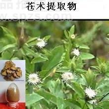 苍术提取物10:1  苍术素 多种规格1公斤起订厂家包邮