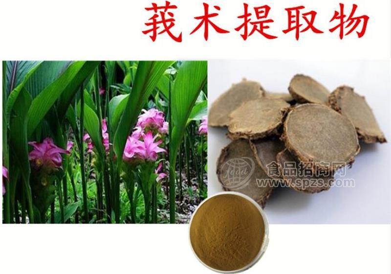 莪术提取物 莪术多肽   10：1多种规格1公斤起订厂家包邮