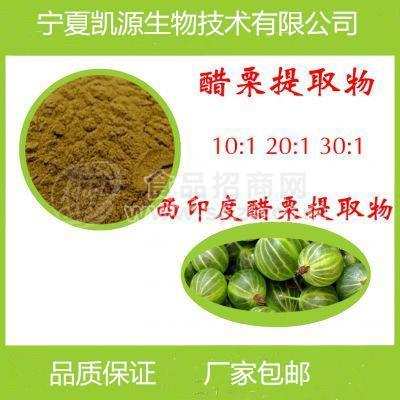 西印度醋栗提取物  西印度醋栗多肽  多种规格1公斤起订厂家包邮长期供应
