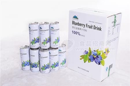 248ml24罐易拉罐果汁