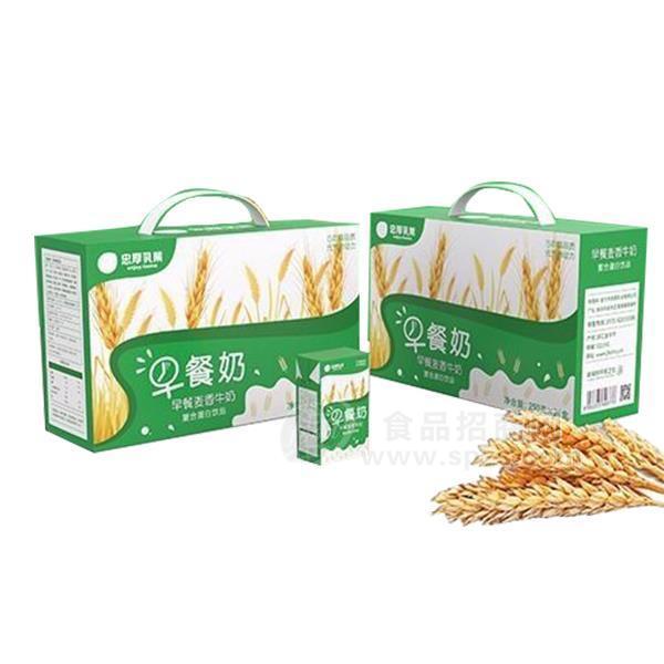 忠厚乳業(yè)早餐奶 麥香牛奶 復(fù)合蛋白飲品