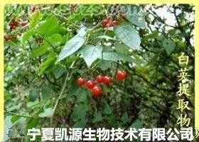 白英浸膏粉 10:1 白英水提物  多種規(guī)格1公斤起訂廠家包郵