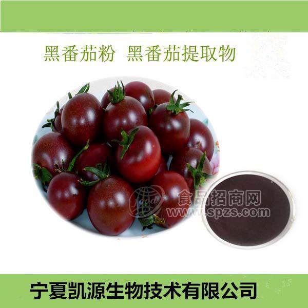 黑番茄提取物 黑番茄速溶粉 10:1多种规格1公斤起订厂家包邮