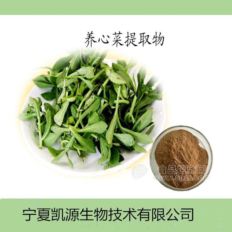 养心菜提取物10:1 救心菜粉 多种规格1公斤起订厂家包邮